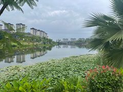-枫香湖儿童公园