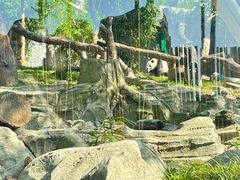 -武汉动物园