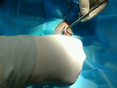 缝合-瑞派·关忠动物医院·异宠专科·犬猫肿瘤·皮肤专科(望京店)