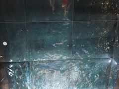 -海河假日酒店·游泳馆