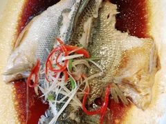 -紫光园·烤鸭·北京菜(劲松店)