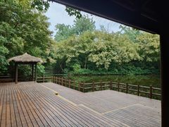 -上海滨江森林公园