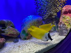 -上海海洋水族馆