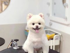 -Double Rui宠物酒店