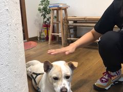 -椿风·养身茶饮(吉大店)