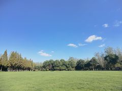 -合肥滨湖国家森林公园