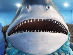 -多彩贵州城极地海洋世界