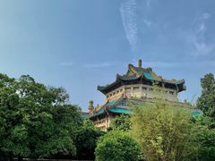 -武汉大学-樱园