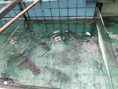 -天怡·鱼工厂(梅溪湖店)