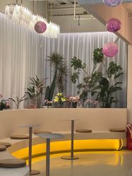 -韩芙莱芳疗spa健康管理