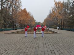 -玲珑塔公园