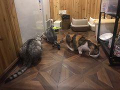 -隅cafe(傅厚岗店)