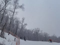 -中旅松花湖滑雪场