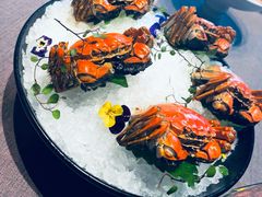 江南熟嘴蟹-香港财记(汇励99城市公园店)