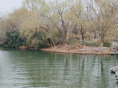 -济南大明湖景区
