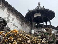 -何园