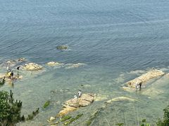 -养马岛旅游度假区