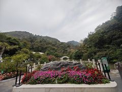 -黔灵山公园