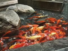 -南堂館川菜文化餐厅(天府店)