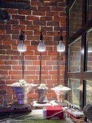 -青木造型HAIR·あおき髪を刈る潮人店