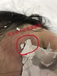 -贞禾医美·连锁