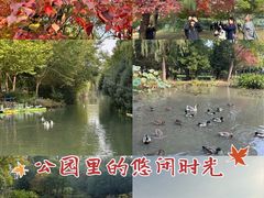 -洛阳市隋唐城遗址植物园