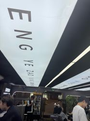 -藤野造型烫染优质