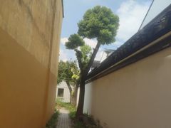 -吴作人艺术馆