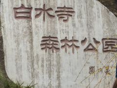 -白水寺森林公园