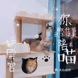 德政中老城中的宠物店