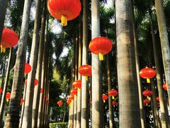 -深圳国际园林花卉博览园