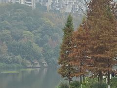 -重庆彩云湖湿地公园