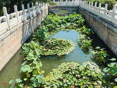 -北京市劳动人民文化宫