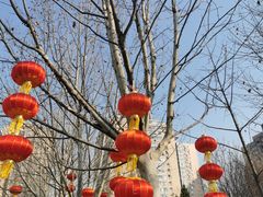 -丰台花园