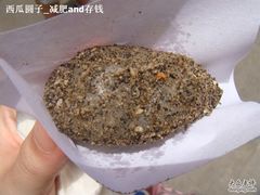 -叶氏麻糍(鼓浪屿店)