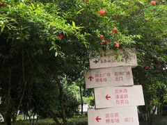 -龙头寺公园