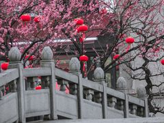 -苏州上方山国家森林公园