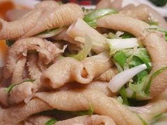 白灼肥鹅肠-深仔记正宗云吞面(尖沙咀店)