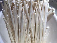 -汤岛涮小火锅(温州龙湾万达店)