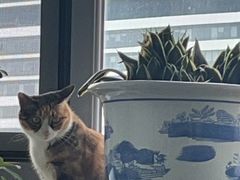 -新荟城(望京店)