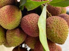 -羊栏农贸市场(羊新路店)