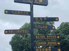 -重庆市江北嘴中央商务区中央公园