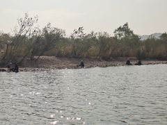 -楠溪江风景名胜区