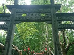 -杭州黄龙洞