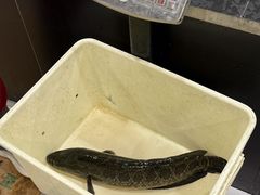 -九寨沟石锅鱼(沣峪口二十年店)