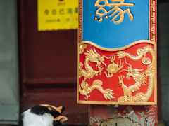 -潭柘寺景区