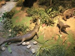 -陕西自然博物馆