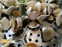 -海大大蒸汽海鲜餐厅·粤菜·特色小炒(欢乐颂店)