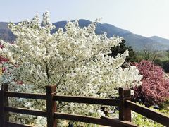 -北京植物园南门售票处