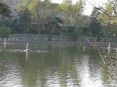 -钓鱼台国宾馆
